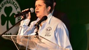 26_kopi_pitas_erasitexnis