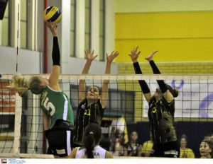 Τριφυλλάρα έχω πονοκέφαλο... (pics)