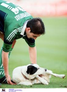 Ο Λύμπε του Παναθηναϊκού σε 21 "κλικς"!