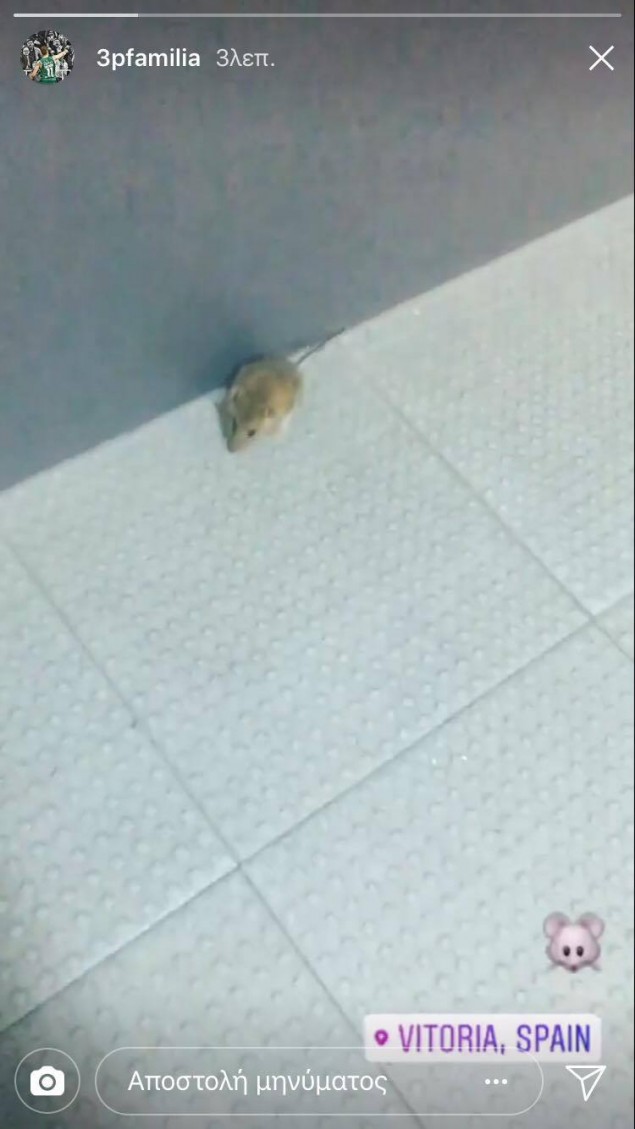 Απρόσμενος επισκέπτης στα αποδυτήρια του Παναθηναϊκού στη Βιτόρια! (pic)