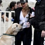 Ένας... απρόσμενος θεατής χθες στο ΟΑΚΑ! (pics)