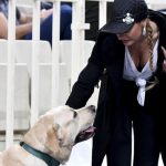 Ένας... απρόσμενος θεατής χθες στο ΟΑΚΑ! (pics)