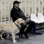 Ένας... απρόσμενος θεατής χθες στο ΟΑΚΑ! (pics)