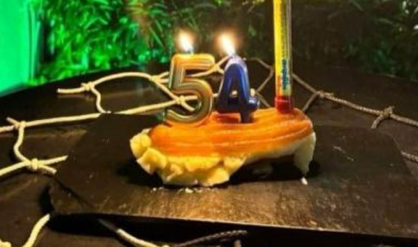 ΠΑΟΚτζήδες γιόρτασαν την ήττα του Άρη με... τούρτα και τον αριθμό «54»! (pic)