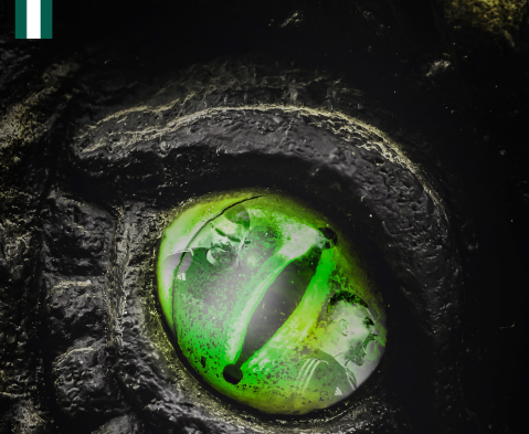 Παναθηναϊκός: Ανακοινώνεται! «Εδειξε» νέα μεταγραφή η ΠΑΕ