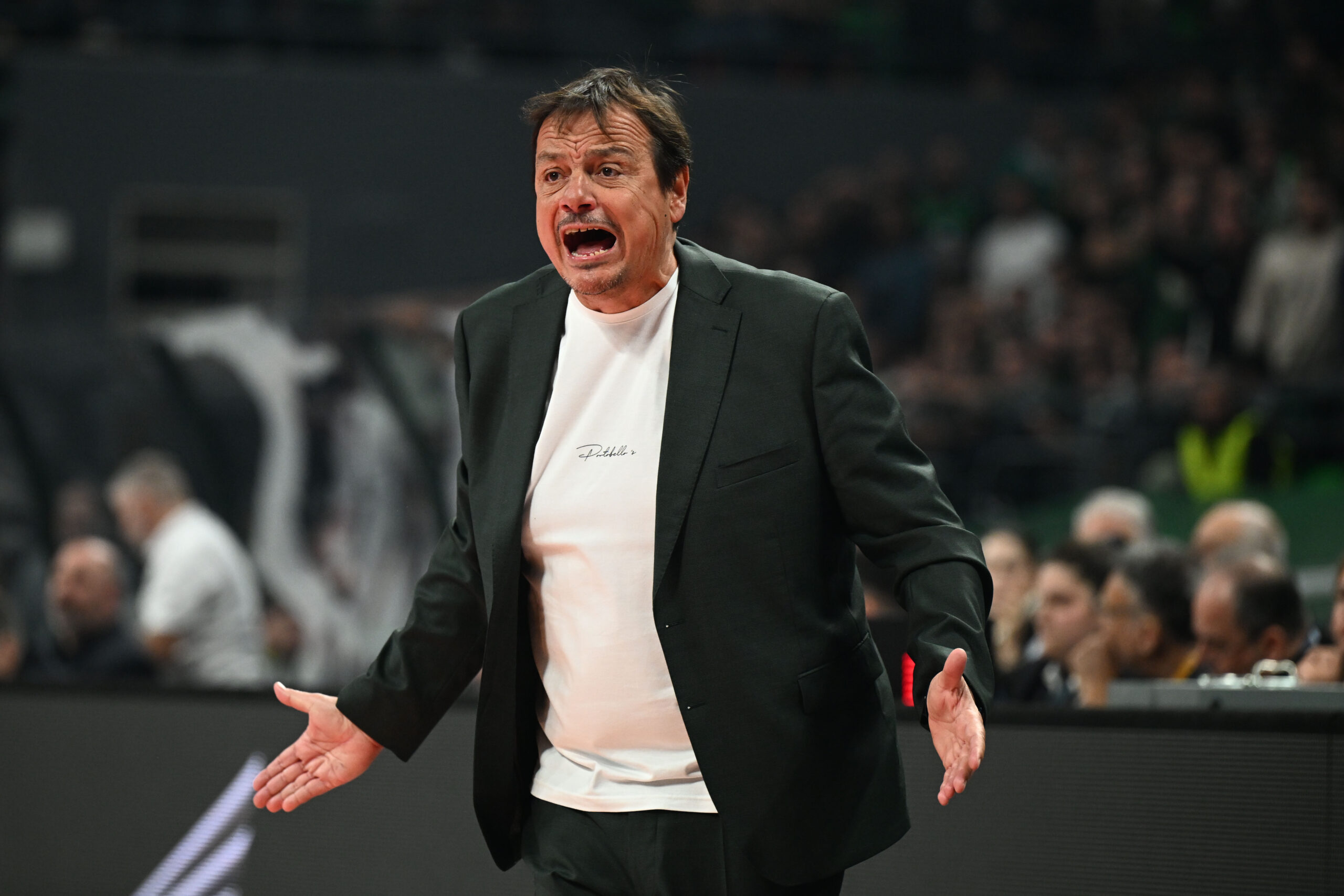 Τι παίκτη μπορεί να πάρει ο Παναθηναϊκός - Οι ημερομηνίες για τη Euroleague