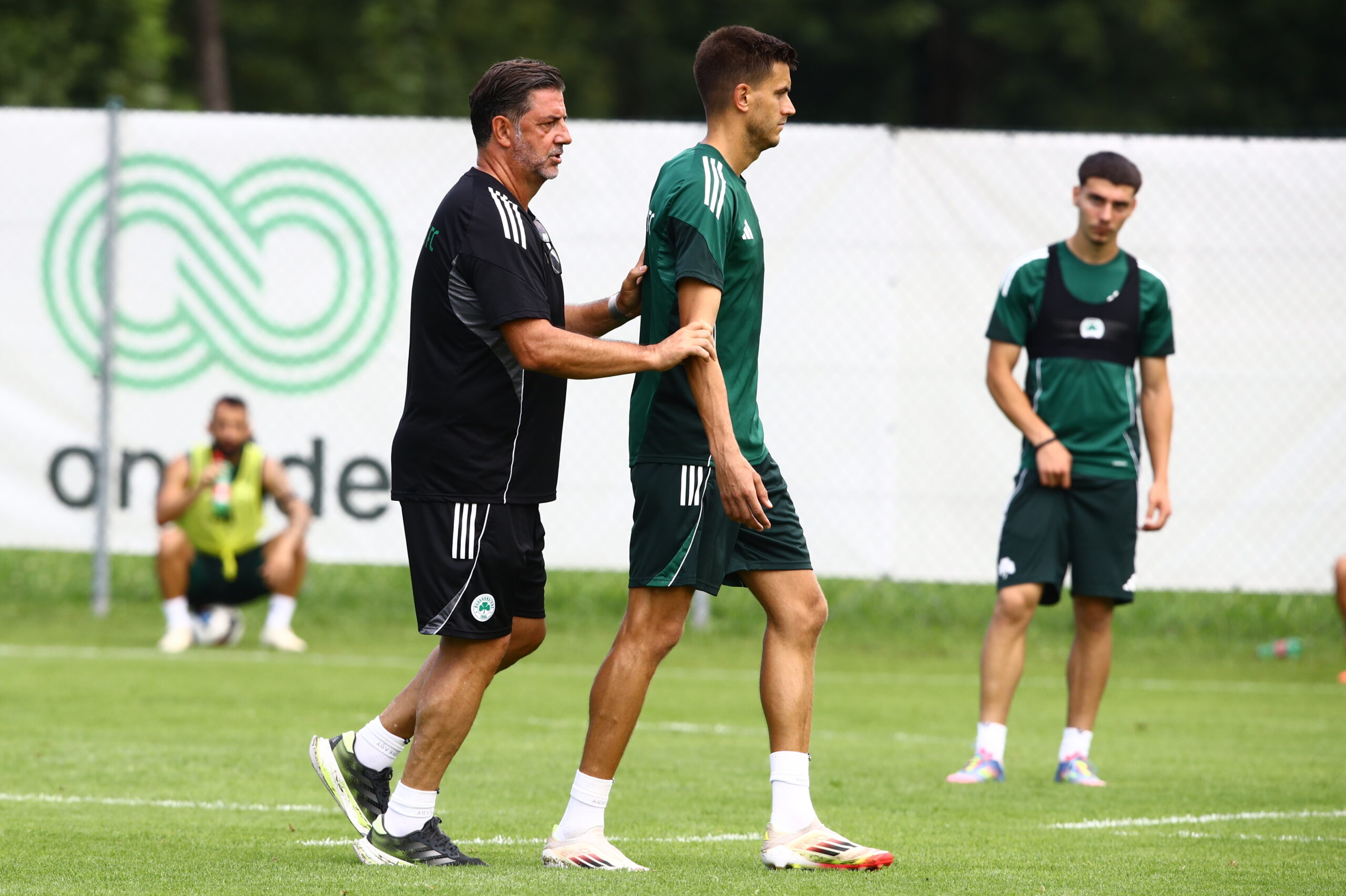 Παναθηναϊκός:  Τετ-α-τετ μισής ώρας του Βιτόρια με τον Γερεμέγεφ