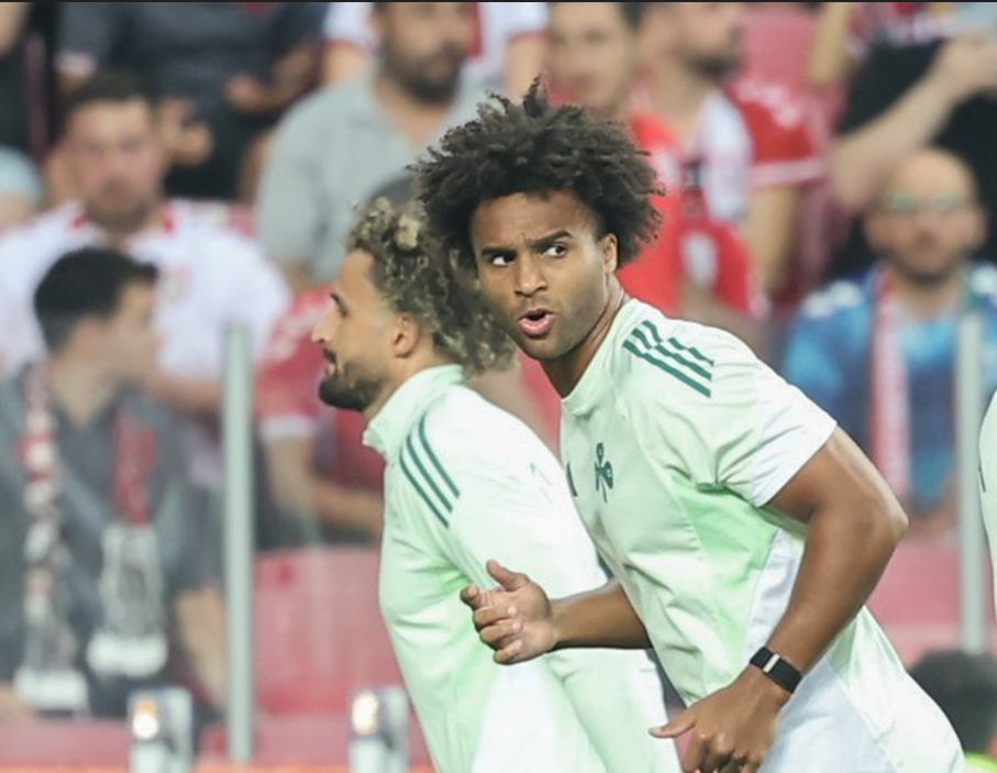 Παναθηναϊκός: Τα λόγια περιττεύουν για τον Πάλμερ-Μπράουν