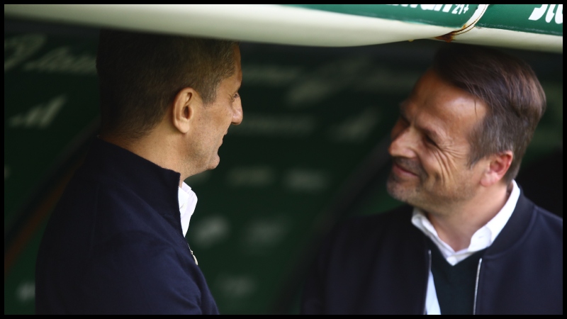 Παναθηναϊκός: «Αν αποχωρήσει από τον ΠΑΟΚ ο Λουτσέσκου...» (vid)