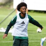 Παναθηναϊκός: Απρόοπτο με Πάλμερ-Μπράουν