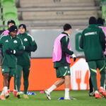 Με βαρύ εξοπλισμό ο Παναθηναϊκός στη Groupama Arena - «Κλικς» από την προπόνηση (pics)