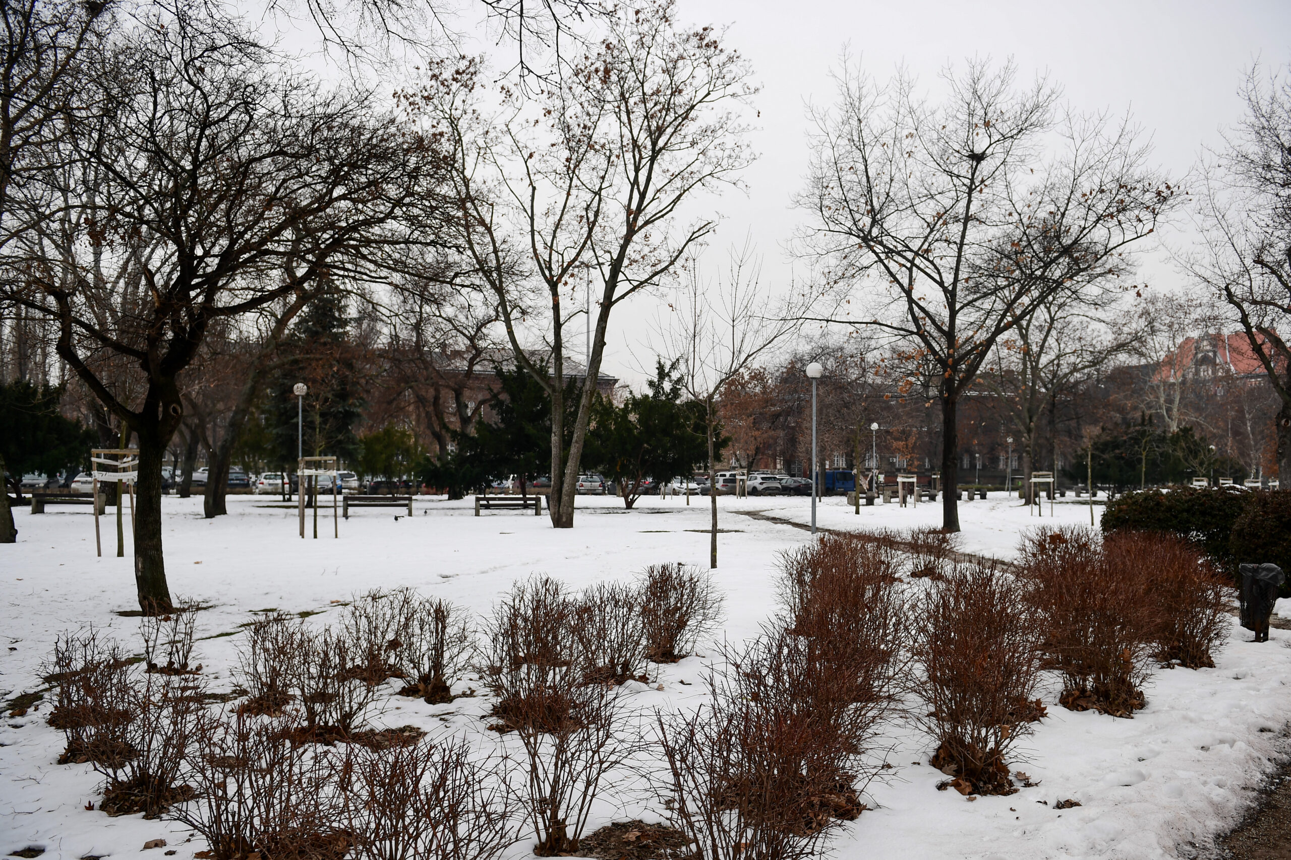 Παναθηναϊκός: «Εικόνες» από τη χιονισμένη Βουδαπέστη (pics)