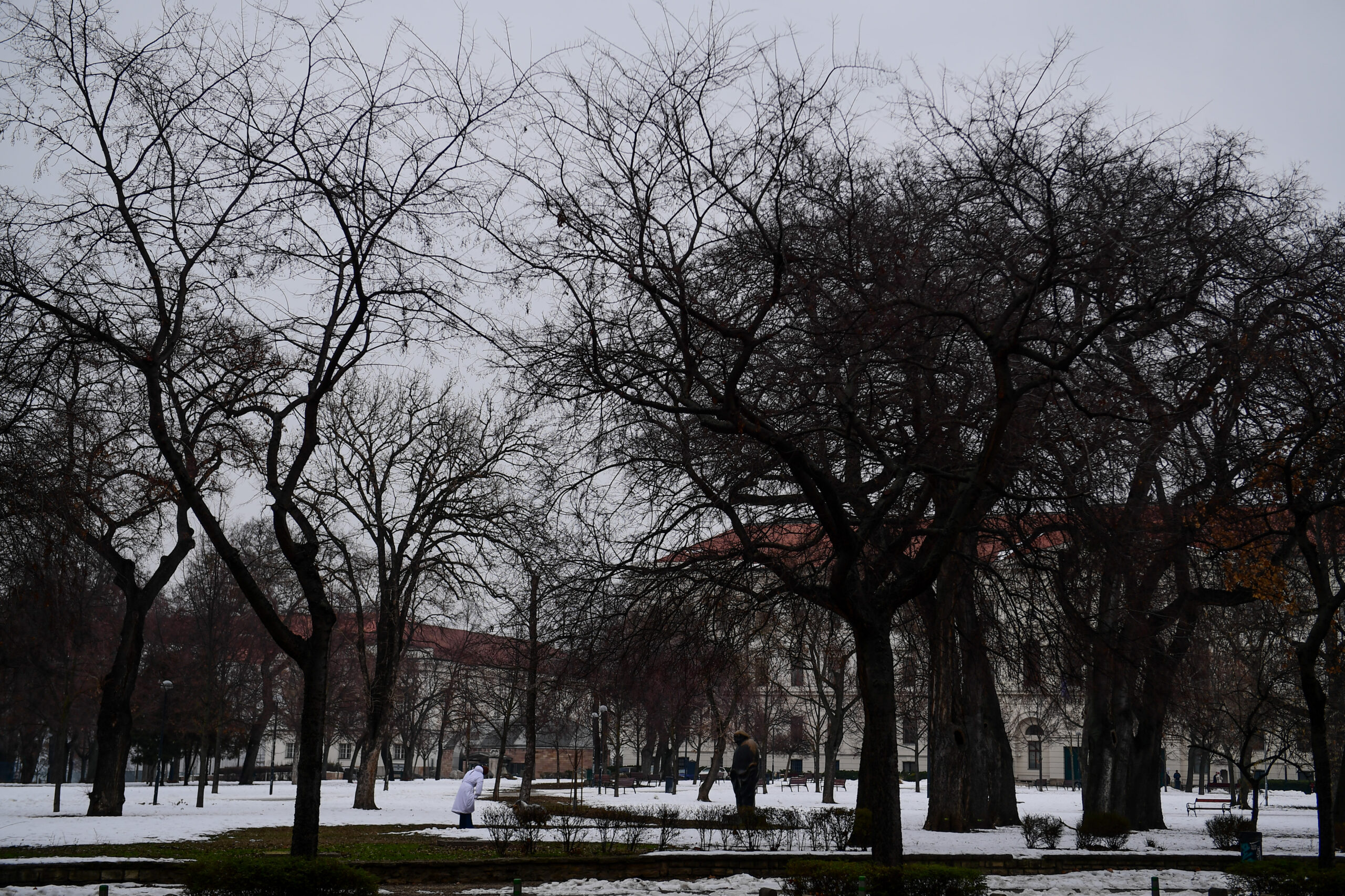 Παναθηναϊκός: «Εικόνες» από τη χιονισμένη Βουδαπέστη (pics)