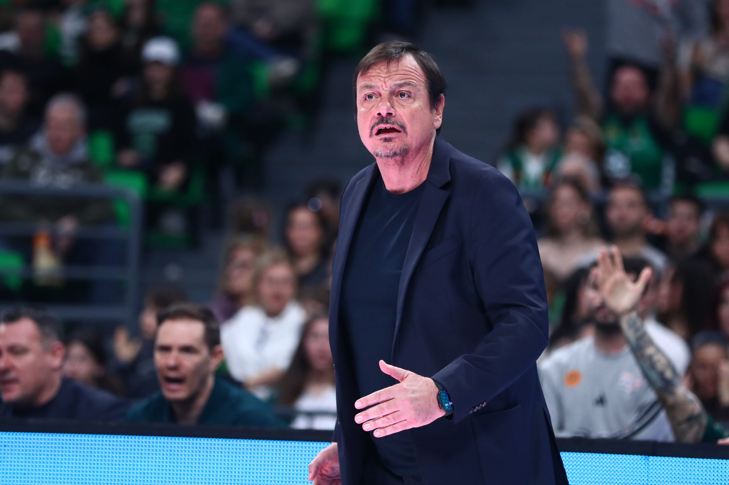 Τι βλέπουν οι μπουκ για την επόμενη μέρα στον Παναθηναϊκό