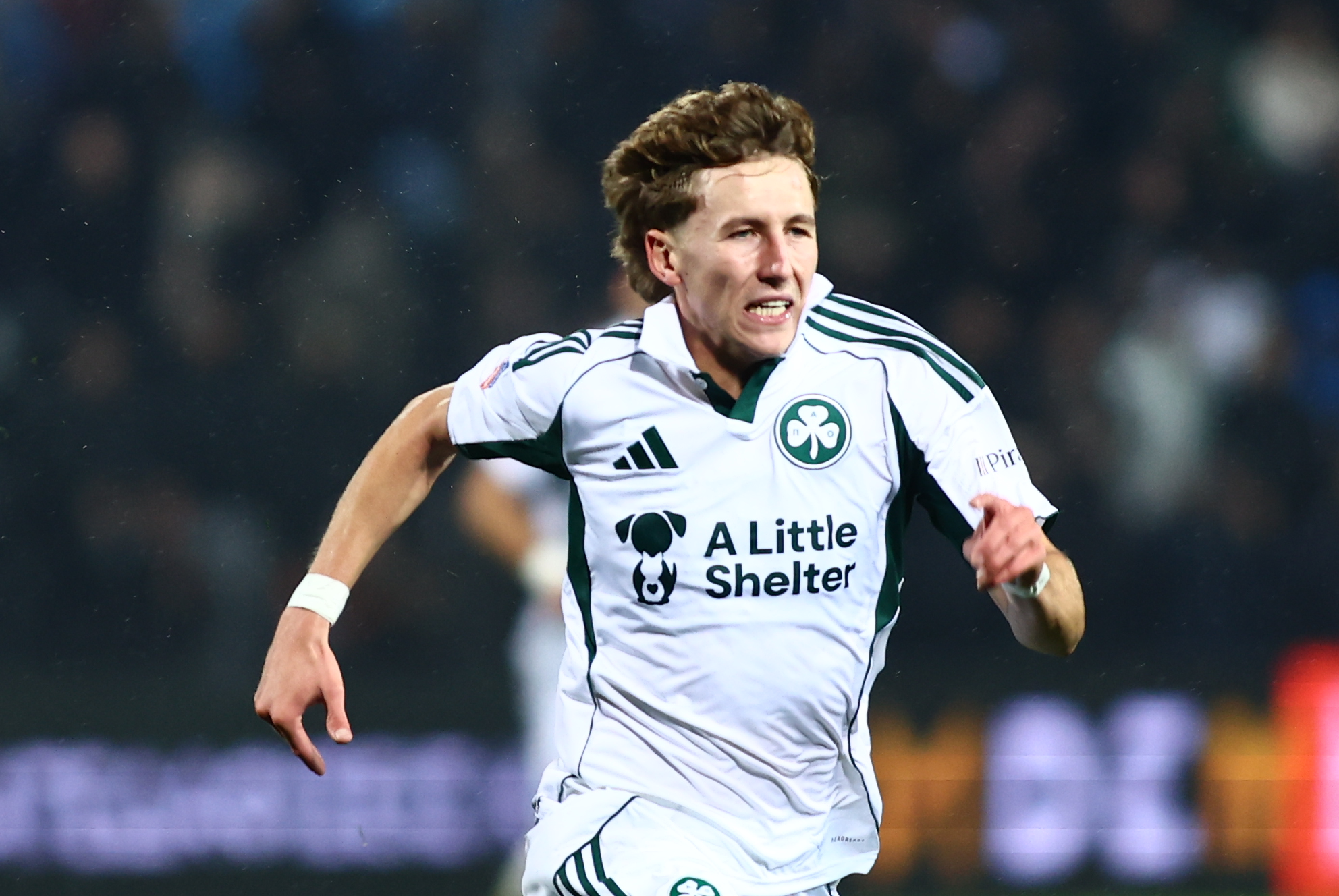 Αυτόματο προσχέδιο