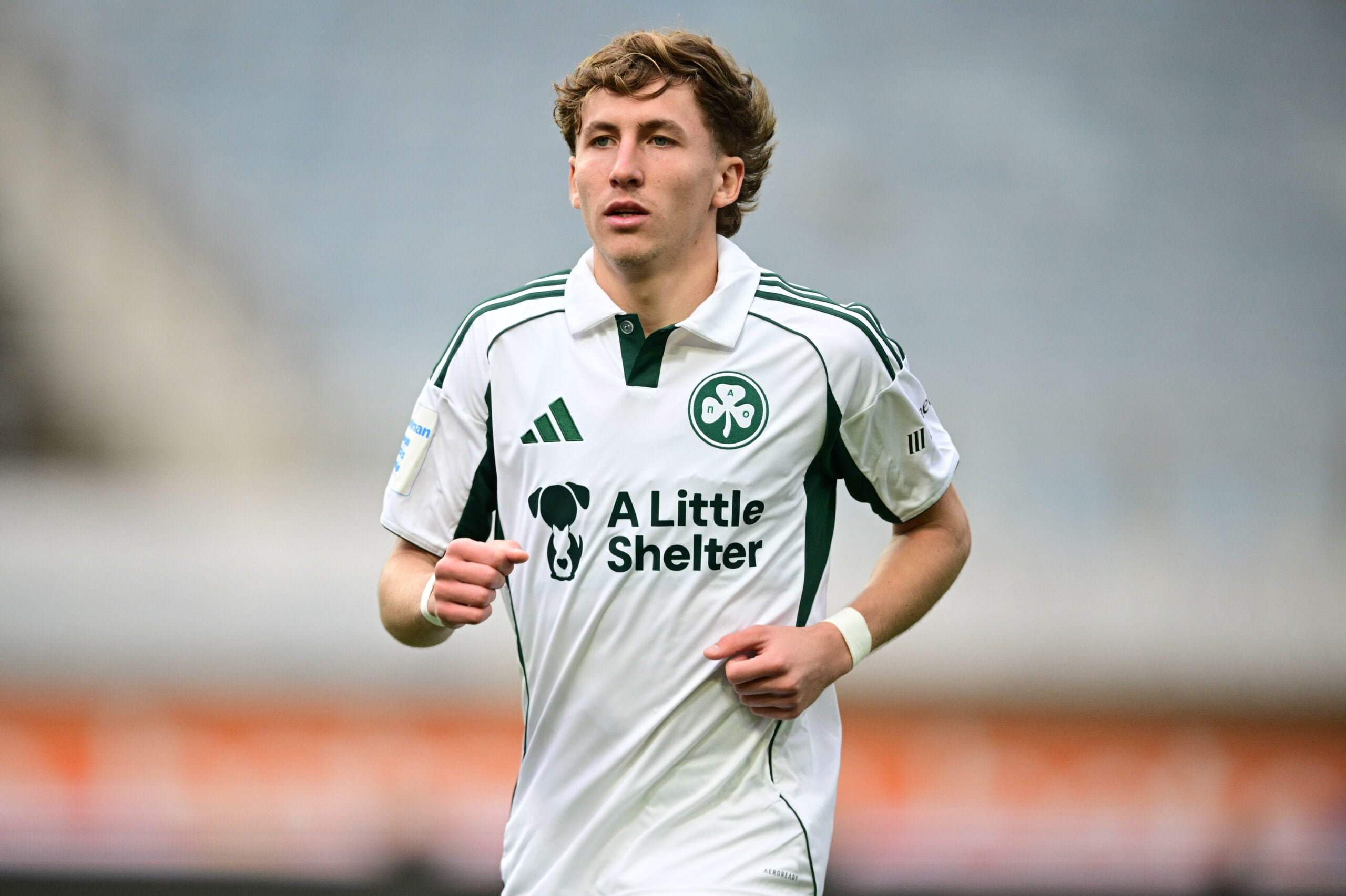 Αυτόματο προσχέδιο