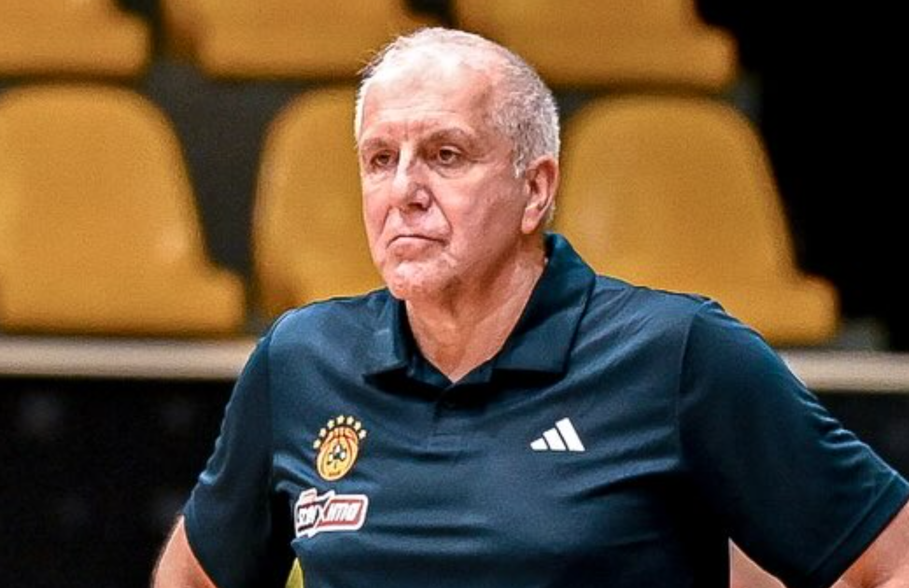 Παναθηναϊκός: «Κλικς» από τον πρώτο αγώνα της επιστροφής του Ομπράντοβιτς (pics)