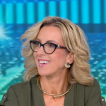 Βάζει τέλος στα παραμύθια η Λαμπαδαρίου: Τι σχολίασε για το πέναλτι στο Παναθηναϊκός-Παναιτωλικός